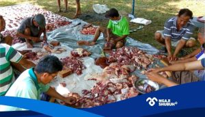 Hukum Seputar Keuntungan dan Risiko bagi Panitia Kurban