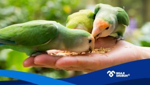 Kunci untuk Mendapatkan Kasih Sayang Langit