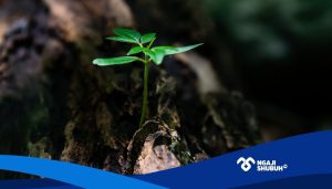 Ensiklopedi Sangkan Paraning Dumadi