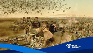 Pasukan Gajah Abrahah dan Peta Politik Dakwah Nabi Muhammad ﷺ