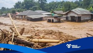Banjir dan Tanah Longsor Sumut, Efek Deforestasi Hutan?
