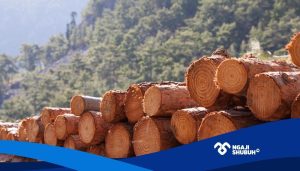 Bencana Ekologis Bukan Semata Takdir tapi Hasil dari Kapitalisme dan Keserakahan