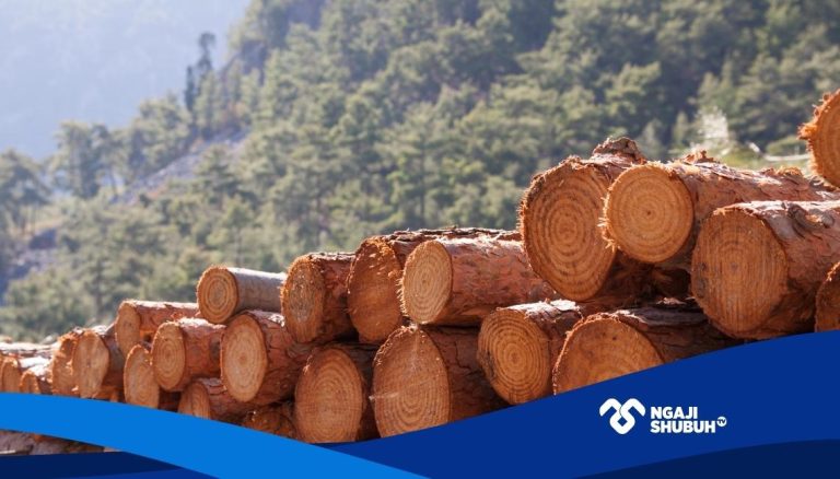 Bencana Ekologis Bukan Semata Takdir tapi Hasil dari Kapitalisme dan Keserakahan