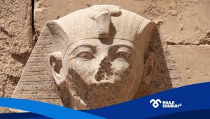 NS Post_20260106_112604_0000