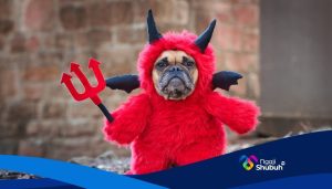 NS Web_20260223_035924_0000