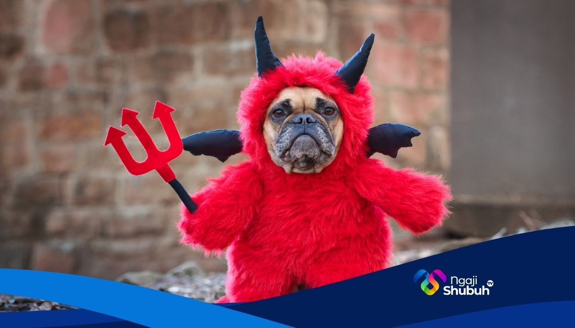 NS Web_20260223_035924_0000