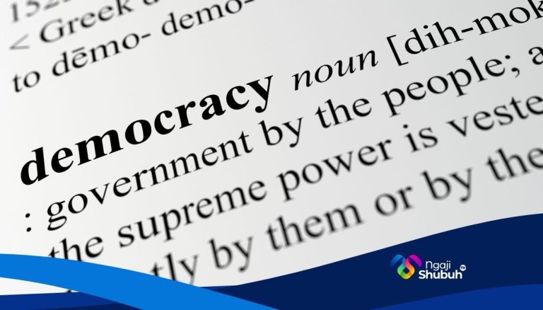 salah kaprah demokrasi